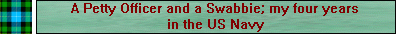 My four years in the US Navy