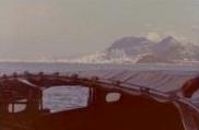 Midway and Hong Kong harbor